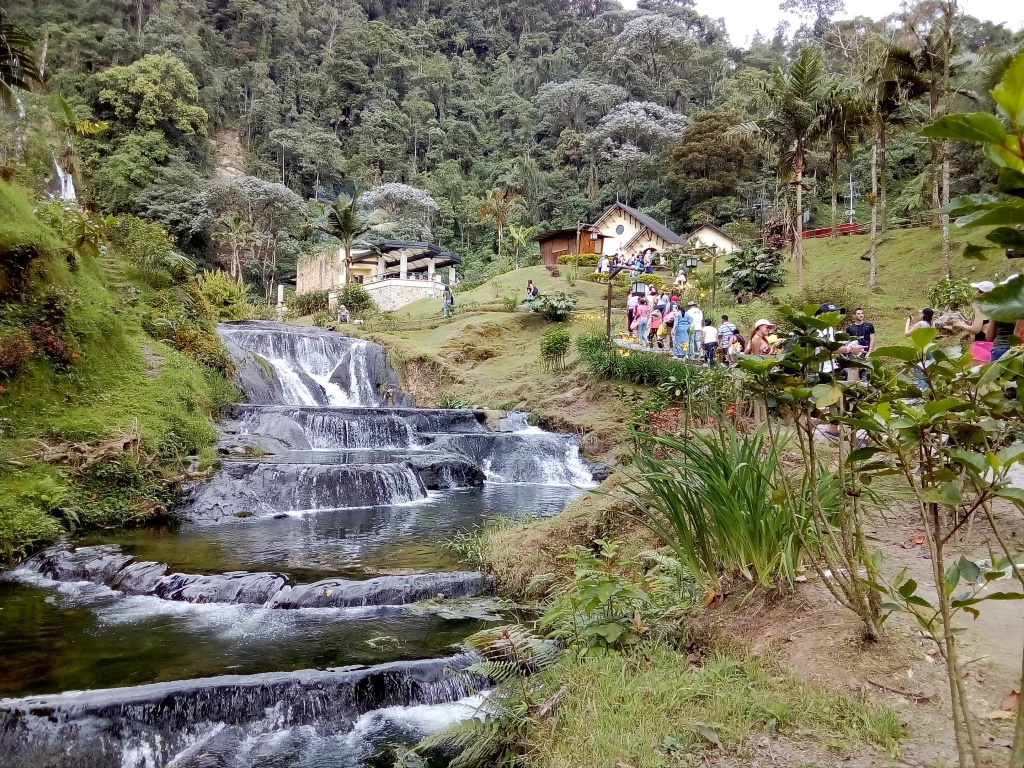 Excursión Terrestre Al Eje Cafetero Desde Medellín Con Ingreso A Panaca Valle Del Cocora Termales De Santa Rosa Y Parque Del Café Listos para viajar el martes 28 de febrero de 2023nbspAgencia de Viajes fantasytours Planes turísticos en Santa Fe de Antioquia Medellín Guatapé y Nápoles