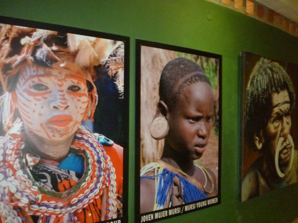 Tour A La Hacienda Nápoles Con Ingreso A La Sabana Africana Museo Y Zonas Húmedas Acompáñanos el domingo 20 de agosto de 2023nbspAgencia de Viajes fantasytours Planes turísticos en Santa Fe de Antioquia Medellín Guatapé y Nápoles