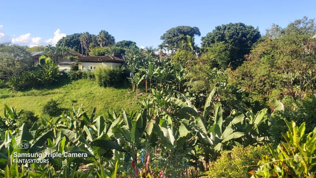 Excursión Terrestre Al Eje Cafetero Desde Medellín, Con Ingreso A Panaca, Filandia, Termales De Santa Rosa Y Parque Del Café, ¡Acompáñanos el viernes 7 de julio de 2023!