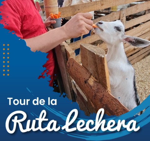 Tour de la Ruta lecheranbspAgencia de Viajes fantasytours Planes turísticos en Santa Fe de Antioquia Medellín Guatapé y Nápoles