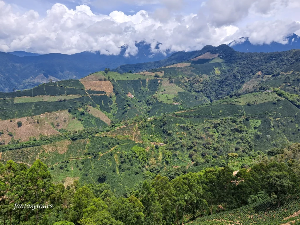 Betania: Machu Picchu Antioqueño, ¡Descubre este destino el domingo 9 de febrero de 2025!