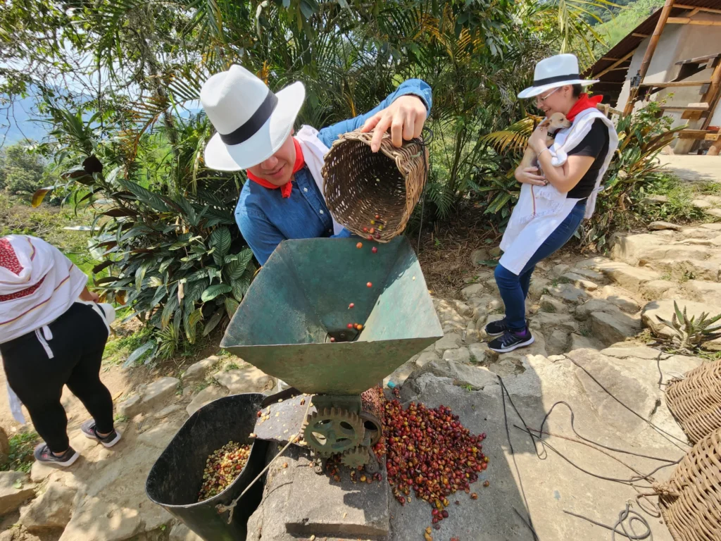 Coffee Tour En Medellín – Experiencia Cafetera Tour Del Café, ¡Viaja el viernes 28 de febrero de 2025!