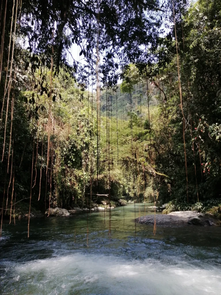 Senderismo Al Río Melcocho, ¡Disfrútalo este domingo 16 de noviembre de 2025!