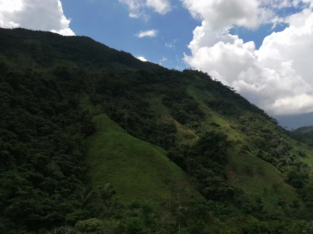 Senderismo Al Río Melcocho, ¡Atrévete y viajemos el domingo 2 de noviembre de 2025!